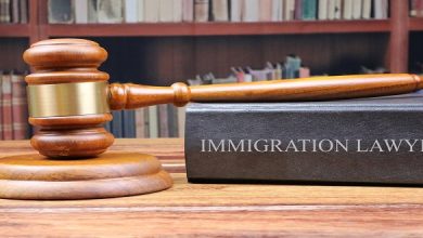 What are the benefits of working with an immigration lawyer?
